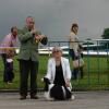 Międzynarodowa Wystawa Psów Rasowych Leszno 02.06.2013 / International Dog Show in Leszno  - TSVETNAJA MECHTA GLORIA VIN THE HEARTS